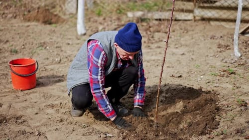 Männlicher Bauer harkt mit seinen behandschuhten Händen den Boden um einen neu gepflanzten Baum.