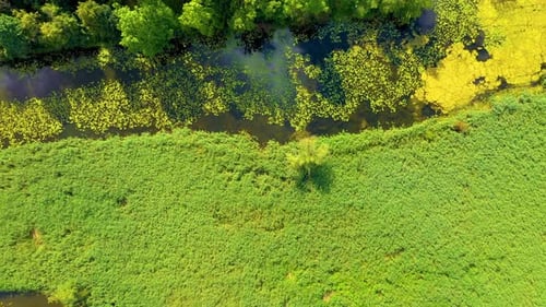 Top down view on exotic winding river flows through green wetlands. Birds eye view of zig-zag creek.