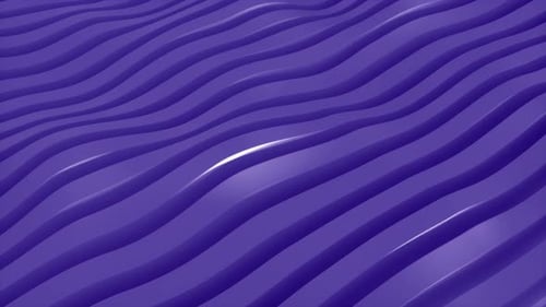 Abstract wavy purple lines animation background. 3d loop animation 4k