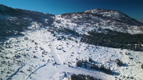 Snowy Mountains and Evergreens on a Sunny Winter Day