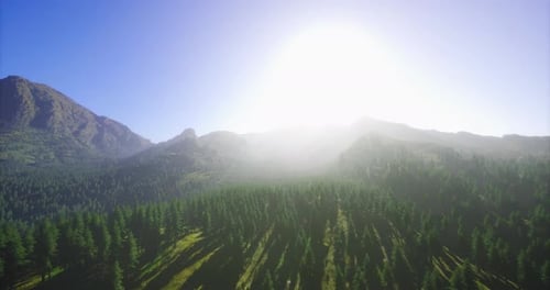 Sunrise Illuminating a Lush Forest with Mountain Backdrop in Clear Sky