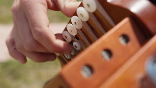 Niño músico toca música de Tarantella Calabria con un instrumento de acordeón al aire libre