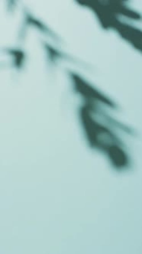 Abstract Plant Shadow on Blue Background