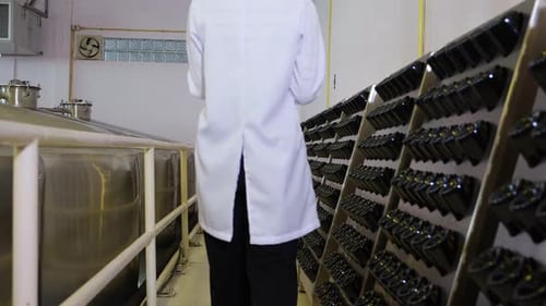 Jeune femme vigneronne vérifiant et examinant la production de vin à la cave en usine.