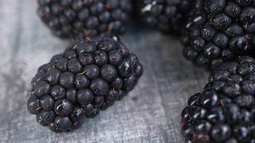 Fresh Ripe Blackberries 13