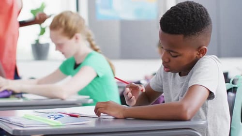 Diverse female teacher and schoolchildren at desks in school classroom