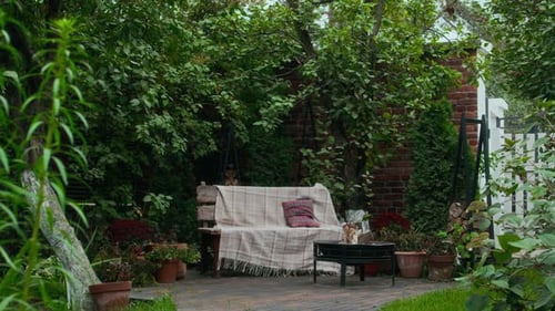 Cozy Bench Nestled in Lush Greenery of Tranquil Garden