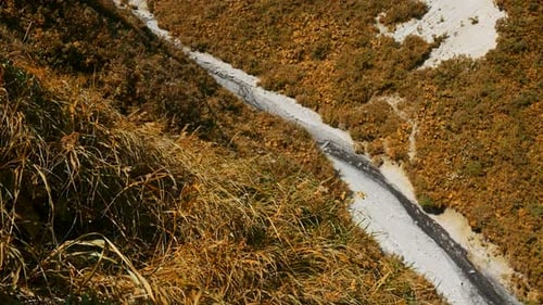 Beautiful landscape with thick grass and rocks with white patterns on sunny summer day.