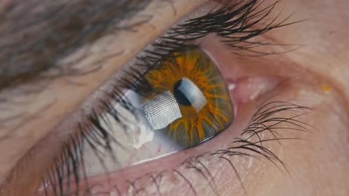 Detailed Look at Eye with Green Iris