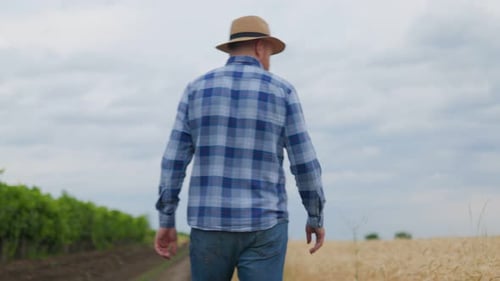 Serious Male Farmer Walking Near Agricultural Field in Countryside
