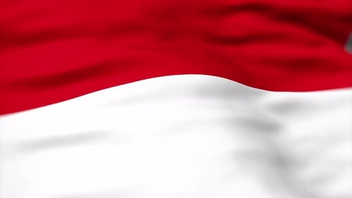 Waving Flag of Indonesia Seamless Loop