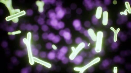 Abstract Microscopic Organisms: Glowing Bacteria or Cells Animation