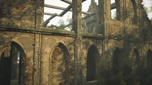 Abandoned Stone Structure Overgrown with Vegetation in a Misty Forest