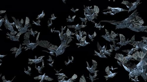 Abstract Stylized Crows Flying Seamless Loop Animation
