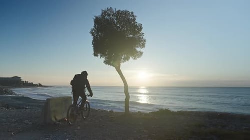 A traveler arrives at seaside, leaning his bike against a tree. He takes off his backpack and stands