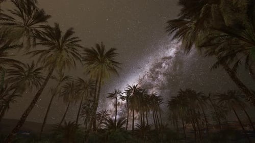 Night Scene with Silhouette Hut and Coconut Tree with Milky Way Galaxy in Sky