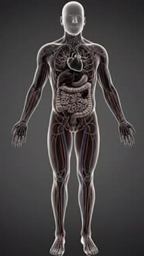 Cardiac Arrest - Circulatory System Shutdown 3D Medical Animation | Manestream Den