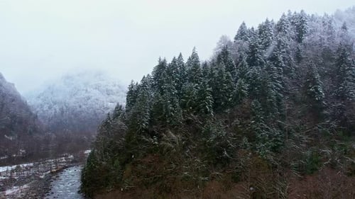 Aerial Winter Mountain Valley with Snowy Forest and Flowing River