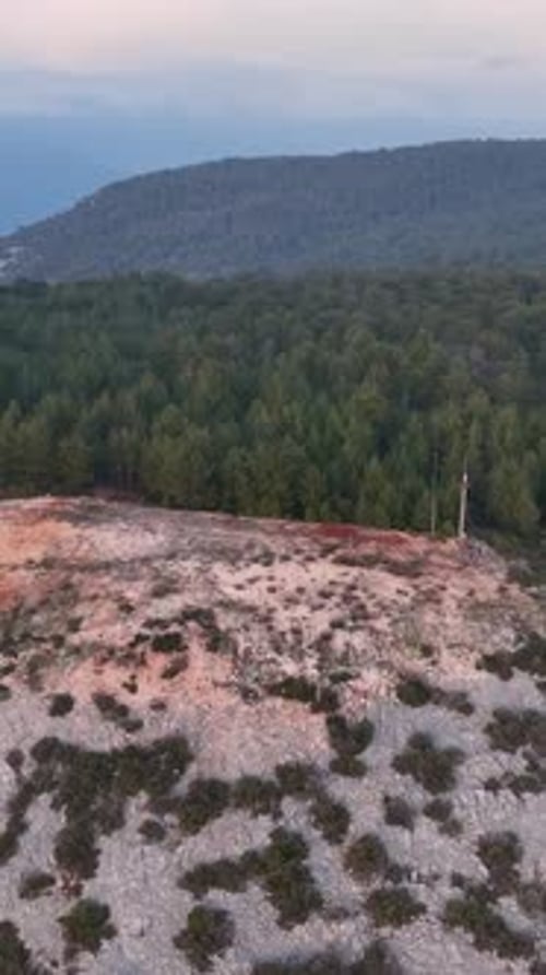 Vertical Video Majestic Forest Expedition Aerial View of Enigmatic Green Wilderness Cinematic Drone