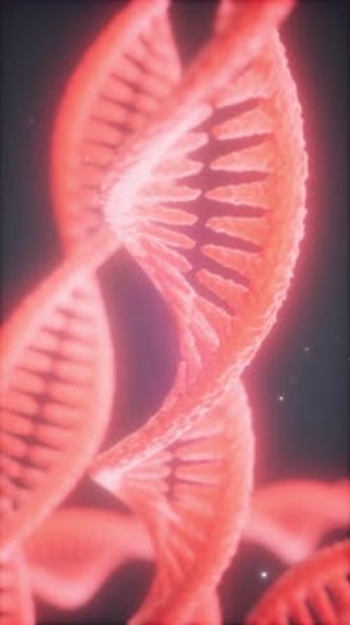 Double Helical Structure of Dna Strand Closeup Animation