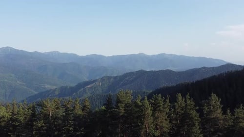 Revealing aerial shot of a dense forest, jungle, and mountain range on a clear blue day.
