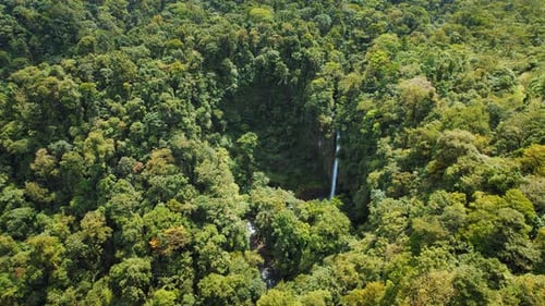 Dense rainforest canopy with a hidden waterfall in tropical landscape of Costa Rica