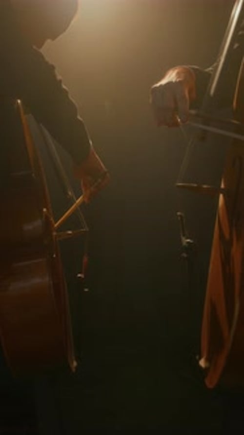 Bass Duo Performing Music in Dark Room