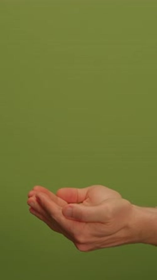 This is a Minimalist Green Background That Features a Subtle Texture Creating an Elegant Ambiance