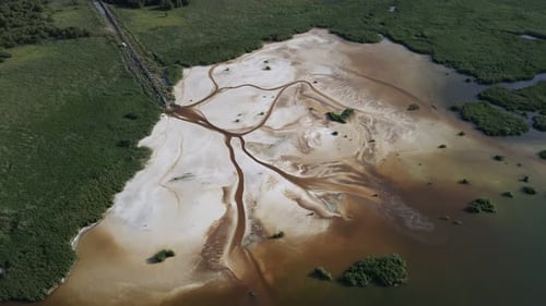 the Plant Pollutes the Lake