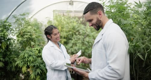 Greenhouse, discussion and scientist with tablet for plant research, agriculture