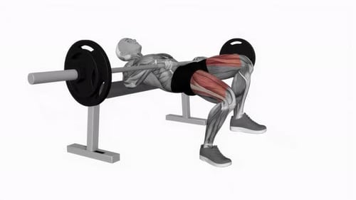 Barbell One Leg Hip Thrust fitness exercise workout animation video male muscle highlight 4K 60 fps