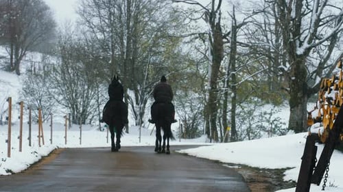 Couple of horse riders, in slow motion, at the road on the snowy mountains
