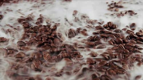Granos de café tostados ahumados 1