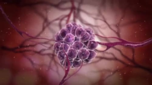 Microscopic Cell Cluster Pulsating and Branching with Scientific Detail