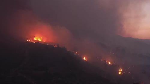 Forest Fires, Natural Disaster