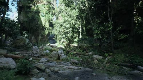 Scenic Dirt Road Surrounded By Trees and Rocks Mountain Path