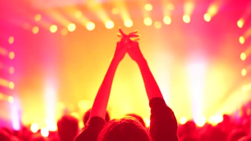 Energetic Crowd Applauding at Concert with Vivid Lights