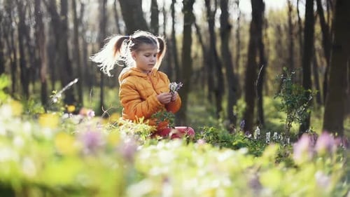 Cute little girl sitting alone in the forest at daytime and taking flowers by the hands