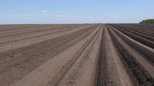 Wunderschöne Landschaft mit landwirtschaftlichen Feldern, die bewirtschaftet werden.