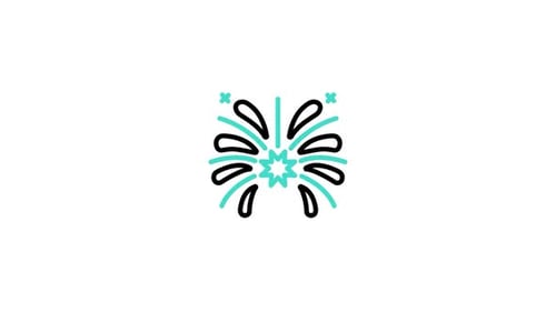 Fireworks Animated Icon