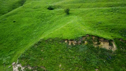 Aerial View of Rolling Green Hills and Lush Forest in a Mountainous Region