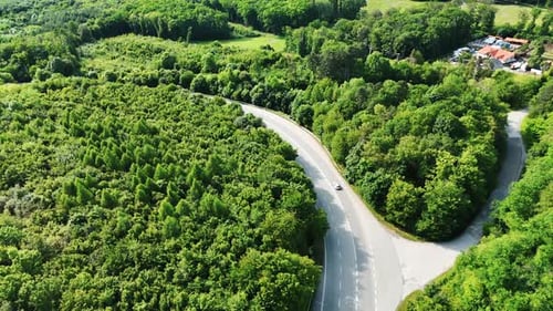 Countryside road winding between lush green trees.