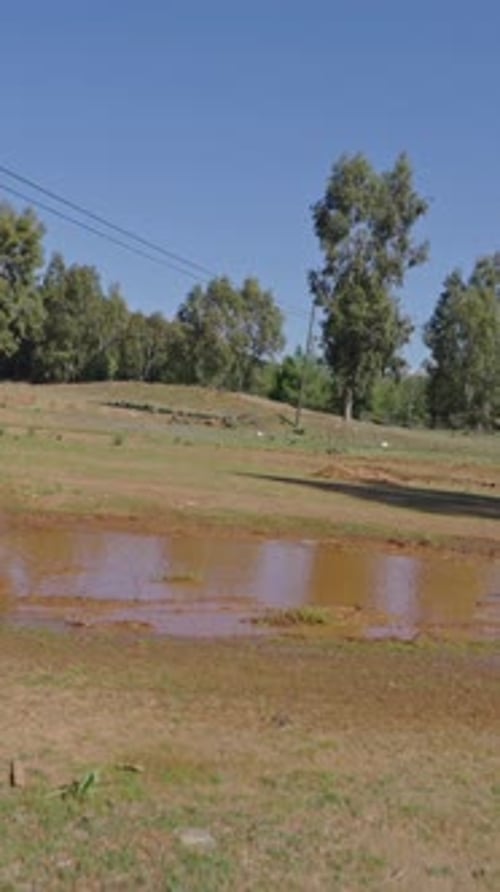 Dirt Bike Splashes Through Muddy Water on Sunny Day