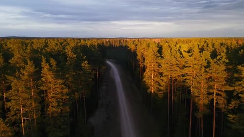 Aerial View of a Dirt Road Winding Through a Forested Ecoregion