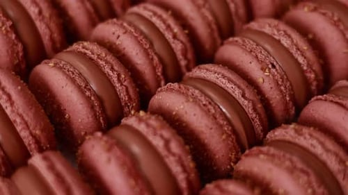 Brown sweet french macaron cakes with chocolate topping in row on the cafe display. Sets of desserts