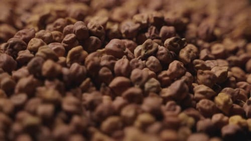 Close Up Pile of Brown Chickpeas