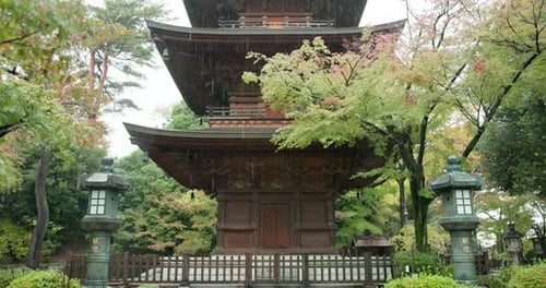 Rain, nature and a building in Japan for tradition, culture and history of country