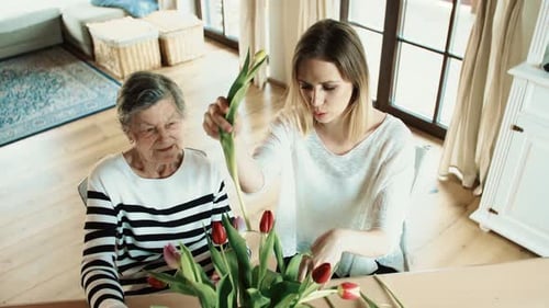 Senior Woman and Young Adult Arranging Flowers at Home