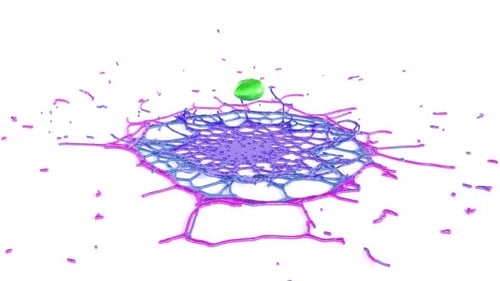 Color Drop Rainbow Mix Splash on White Back Super Slow Motion 1000 FPS