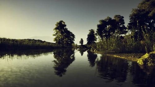 Peaceful River Flowing Through Lush Green Landscape